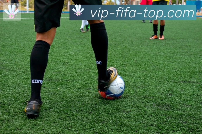 FIFA世界杯买球入口荣誉